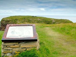 The Brough of Deerness, Orkney (Picture: Sigurd Towrie)