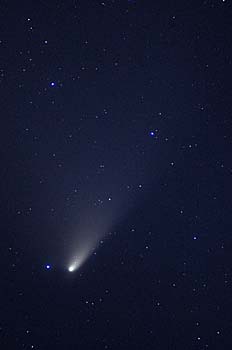 Comet PanSTARRS - most recent image from March 30 at 8.50pm. (John Vetterlein)