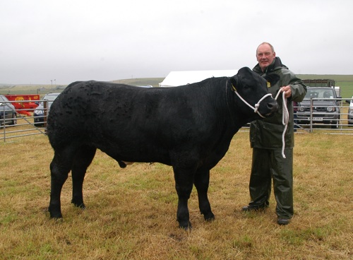 Champion of the showyard for the 2014 South Ronaldsay & Burray Agricultural show went to A J Laird's Limousin cross stot calf. The calf is pictured with handler Robbie Tulloch. (photo Kenny Pirie)