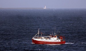 The Irish trawler Iuda Naofa pictured passing Mull Head in Deerness, on the way into Kirkwall back in November. (Picture: Craig Taylor)