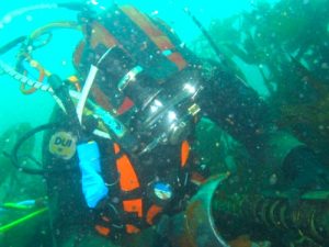 A diver inspecting a sub-sea cable at an EMEC test site. (Picture: EMEC)