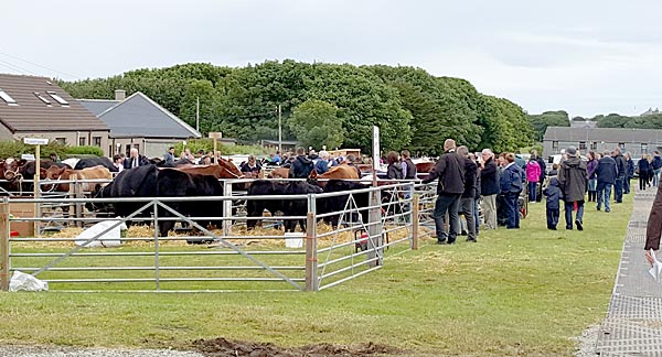 Visitors and exhibitors aat the County Show this morning.
