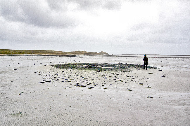 Prof Jane Downes examines one of the house structures revealed on the beach. Other houses represented by dark spreads of stone can be seen in the background, extending as far as the last visible sand dune. (Picture: Colin Richards)