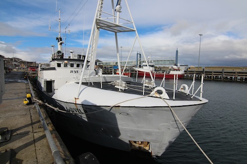 The Juvel II in Stromness Harbour. (Picture: Craig Taylor)