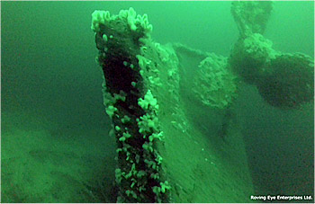 Stern of the vessel showing the portside bronze propeller. The rudder lies on the seabed. The starboard propeller was previously salvaged. (Roving Eye Enterprises Ltd.)