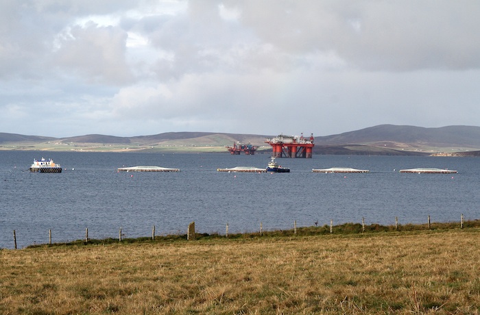 The new Salmon Farm in Scapa Flow. (www.theorcadianphotos.co.uk)