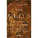 The Celts: Search for a Civilization