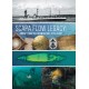 Scapa Flow Legacy - PRE-ORDER