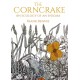 The Corncrake