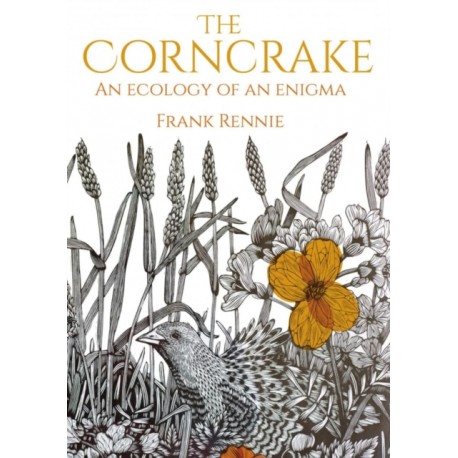 The Corncrake