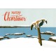 Birsay Wahlebone Christmas Card