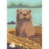 Nature Notebook - Otter