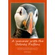 A Summer With The Orkney Puffins