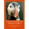 A Summer With The Orkney Puffins