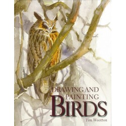 Drawing and Painting Birds