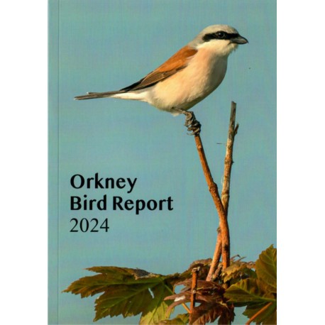 Orkney Bird Report 2024