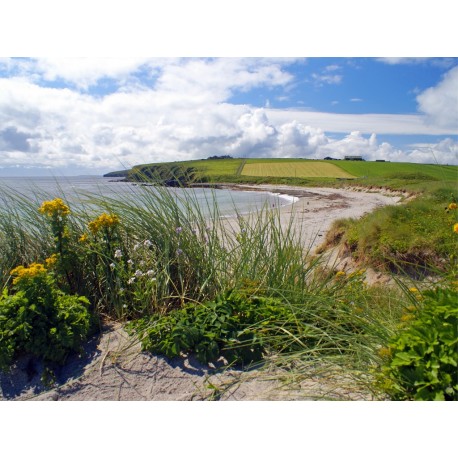 Orkney Card - Dingieshowe Beach