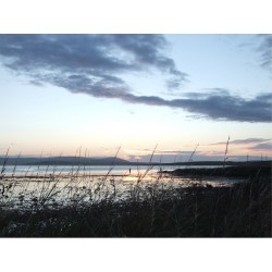 Orkney Card - Sunset over Stenness Loch