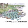 The Orkney Book of Wildflowers