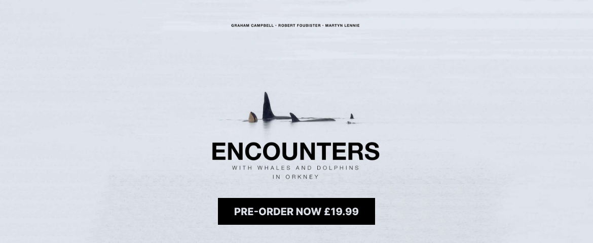 Encounters